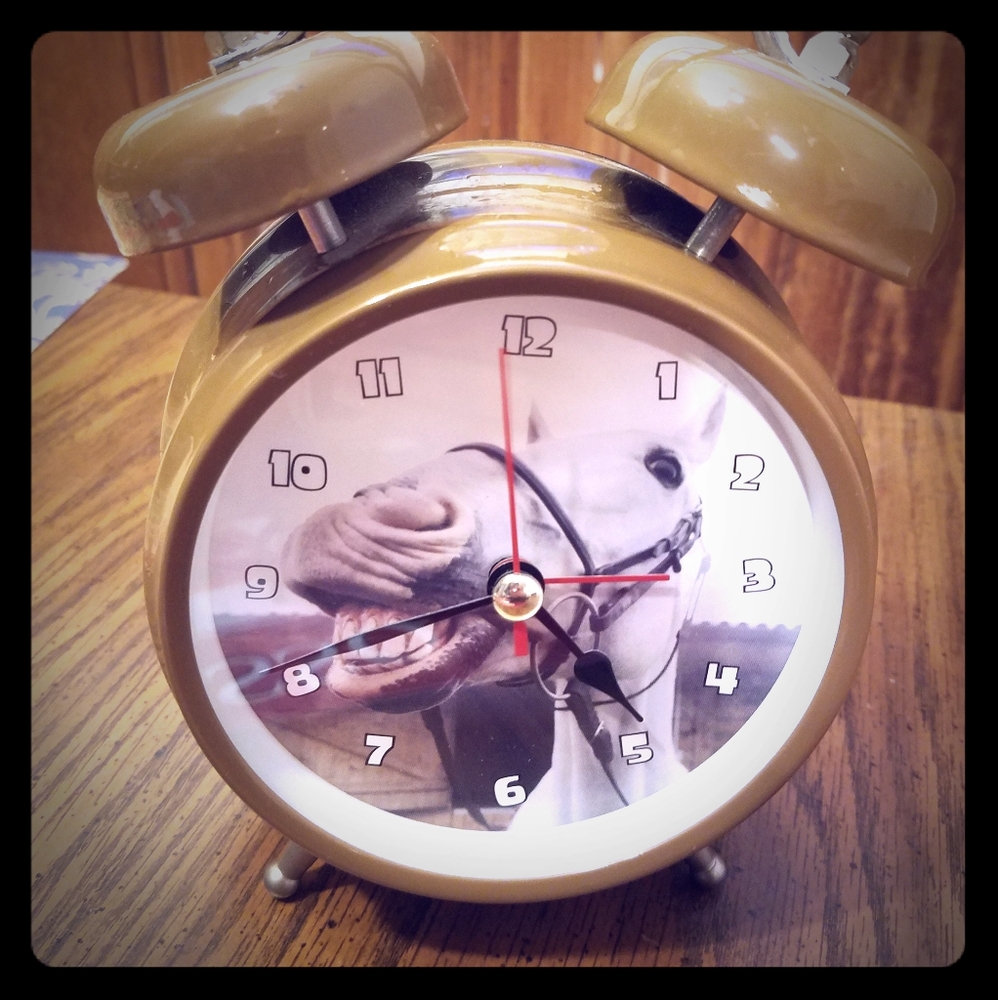 Horse Alarm Clock